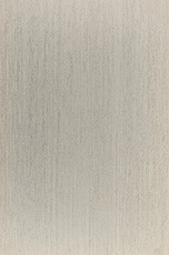 PM1009 PM1009